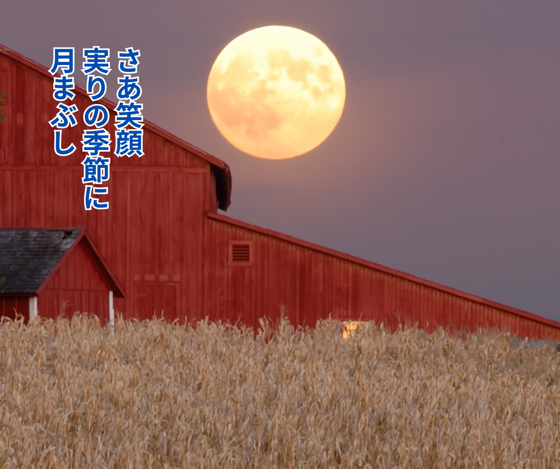 20260924_OPEN